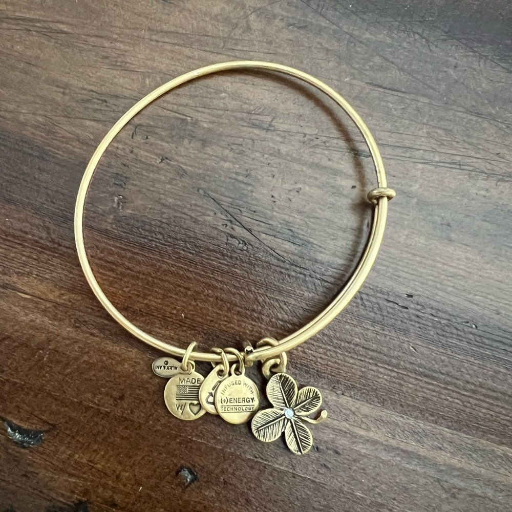 Alex and Ani Bracelet Bundle, Gold & Silver (6) - Picture 9 of 9